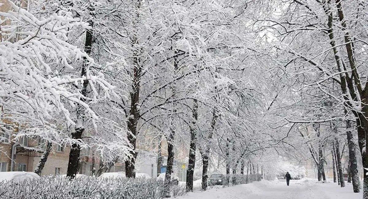 پیش بینی هواشناسی ایران | بارش برف و کاهش دما همچنان ادامه دارد